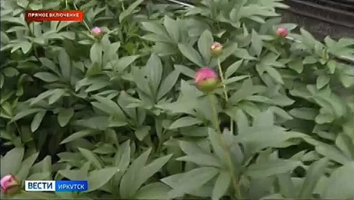 ������ ���������: � ��������� ������������ ������� ��������� �����