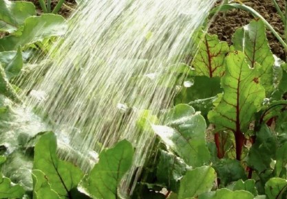 ������� ��������� ������ ������� � ������: ��� �������� ������� ������