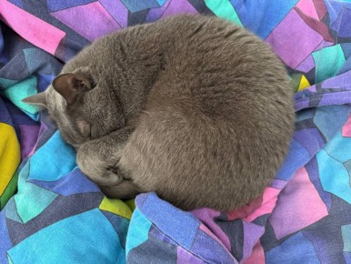 Доброе утро, Приангарье!. 7 апреля у нас небольшой, местами умеренный дождь