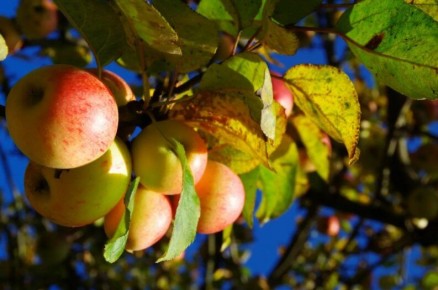 ������� ��������� ����: ��� �������� �������� �� ����