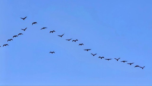 Весна!!!. Фото: Иркутский зоопарк