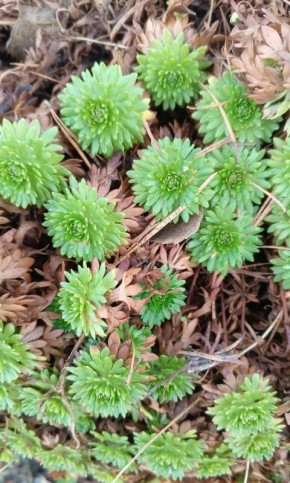 ��� ��� ������������ � �������������: ����������� � ����� �� ������