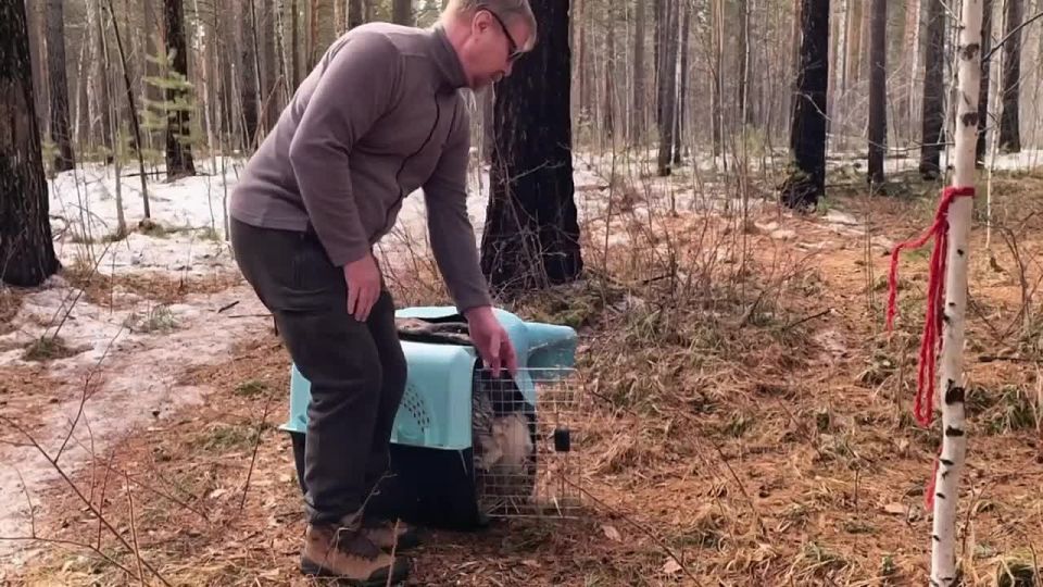 ������������� ������� ������� � ����� �������