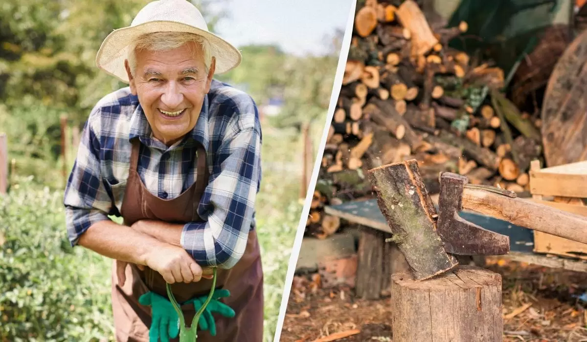 Как рационально использовать ветки после обрезки деревьев: советы опытных дачников
