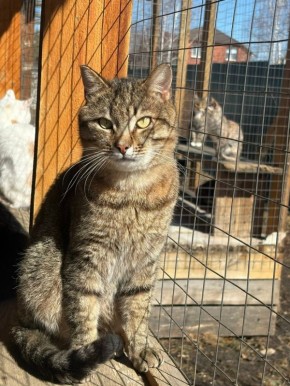 �����������, ������ � ���������, ��������� � ������� ������������ ��� � ����������