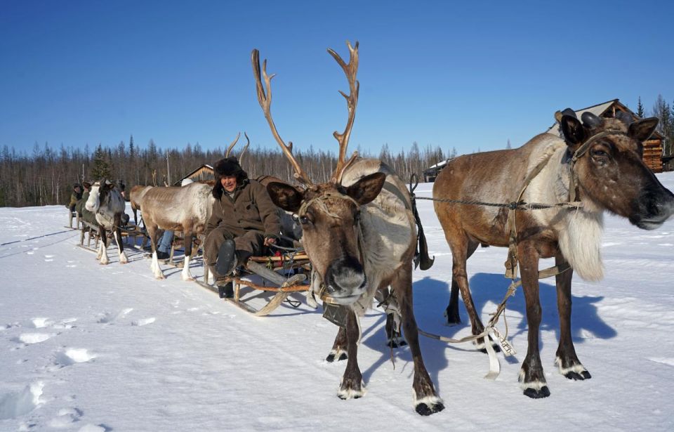 ��� ��� �� ������ �� �����