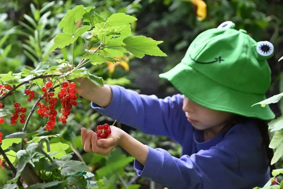 ����-�������� ����� ������� ����������, ��� ��������� ������� ����� �� ������� ��� � ������� �������� ��������