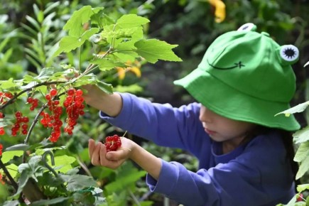 Врач-терапевт Ольга Чиркова рассказала, как родителям уберечь детей от вредной еды и привить здоровые привычки