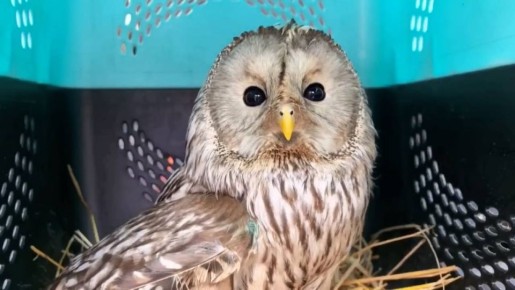 � �������� ��������� �� ���� ����, ������� ������ �����������