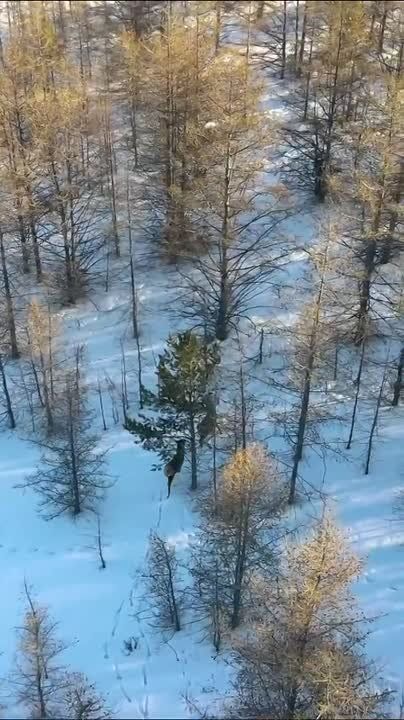 ��� ����� ������ ���� �� ����