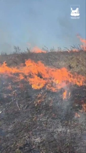 ��������� �������������� ����� ������ ������� �������� � �� ��� �������� ������ ����������� �����