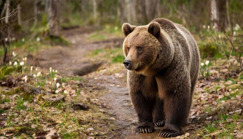 � ��� �� ��� ����� �������� �������� ��������: �� ����� � ���� �������� �������� �������