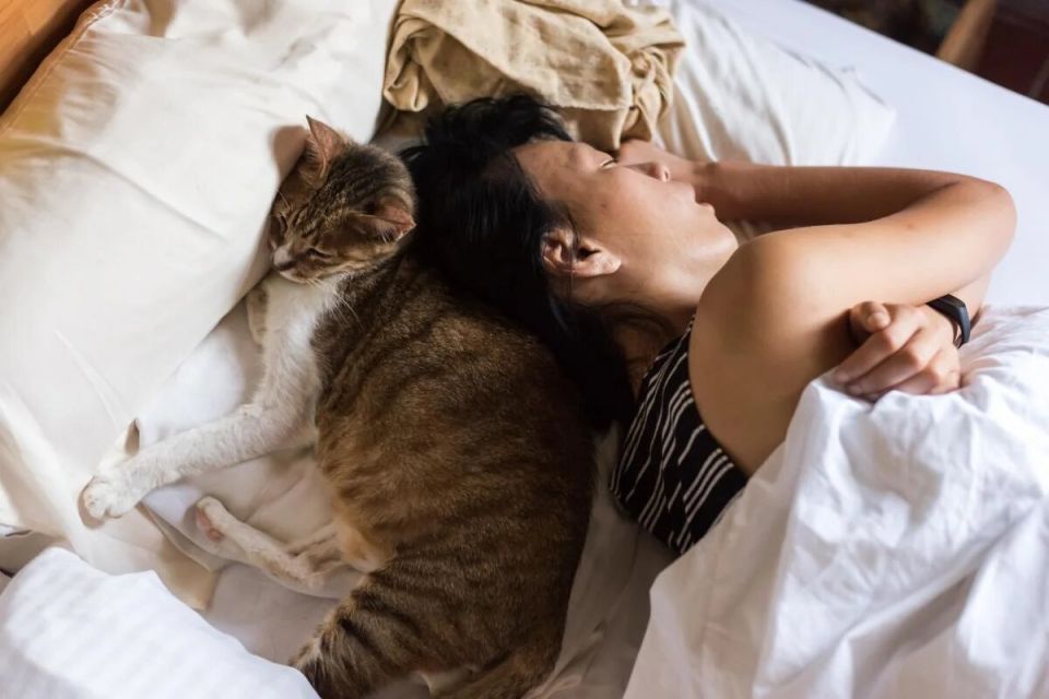 ��� ��������� ��������� ����������