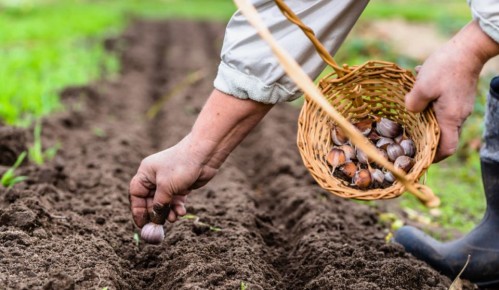 ��� ���������� �������� ������ �������: �������� ������ ��� �������