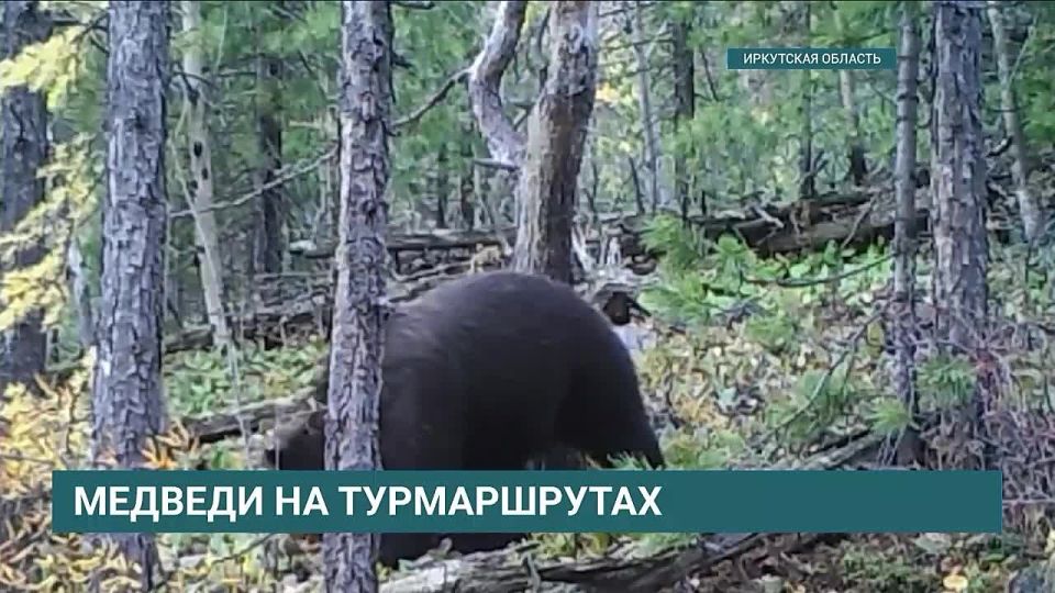 ������� �������� � ������ ���� �������� � ���������� ������