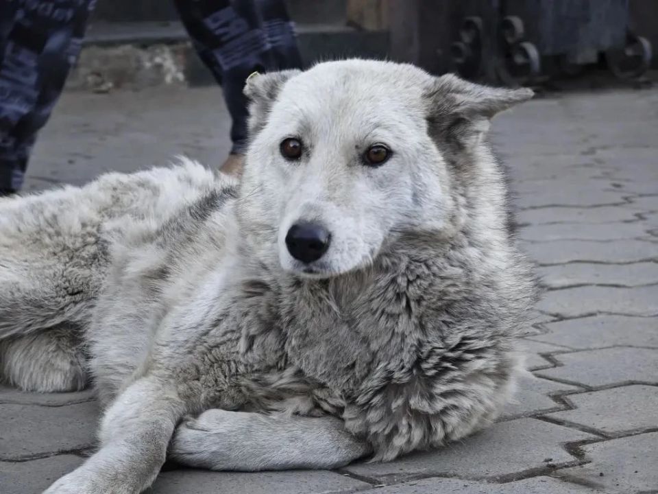 ��� ������: ��� ��������� ����� ���� ��� ������� � ������������� ��������