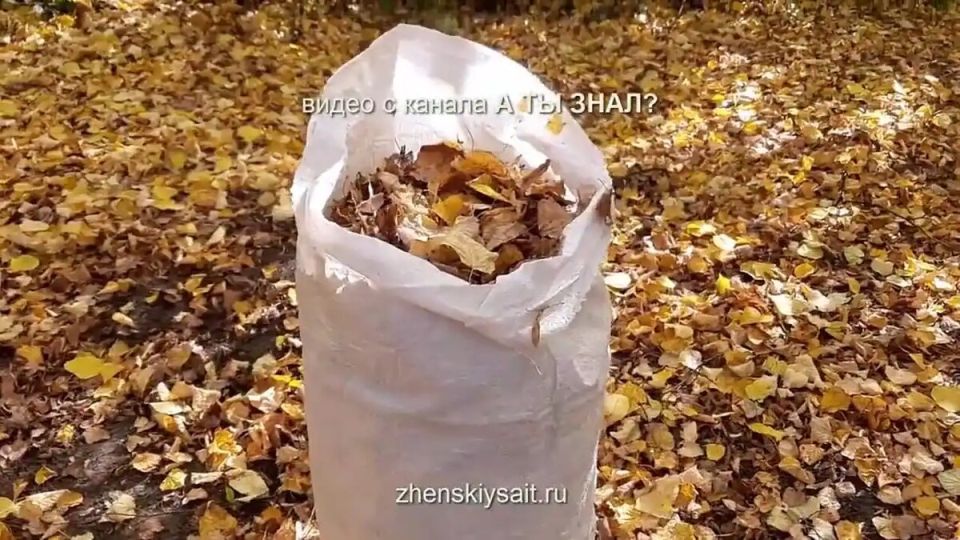 ��� �� ������� ������� ������� � ������