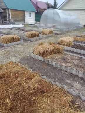 ������� ������ � ���������: ��� �������� ������������� � �������� � ������