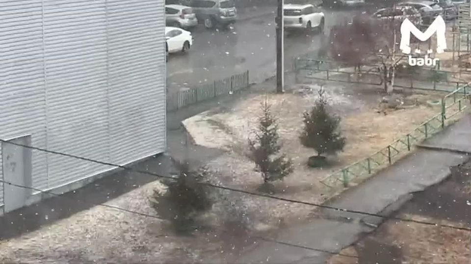 ��������, ��� ����� �����? � ��� � � ������ ����� ����