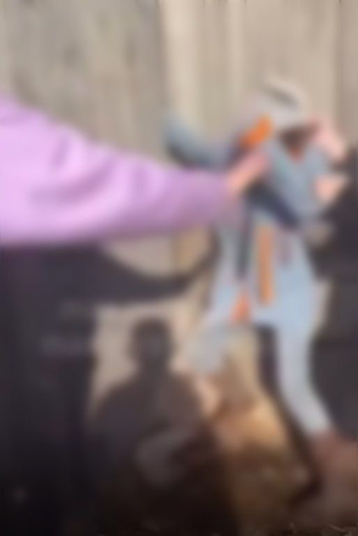 ���������� ������� ��������� ����������, ���������� � ���� ����������� ���� �������� � ���������� ������� �������