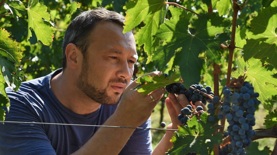 ����� ����: ����� ���������� ��������� �� ����������� ������