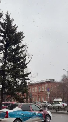 ������ ����