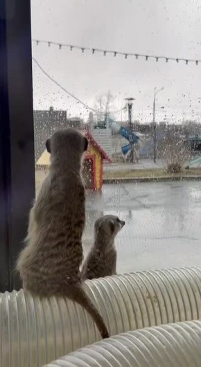 ������ ����, ��������� �������!