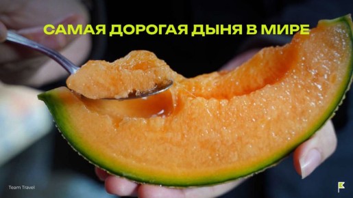 ����� ����: ����, ������� ����� ��������� ���� ������ �������