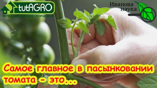 ������� ��������� ������������ ������� ��� �������� ������