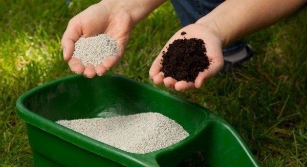 ��� ������ ���������� �������� �������� ����������� ��������� ��� ������� ������