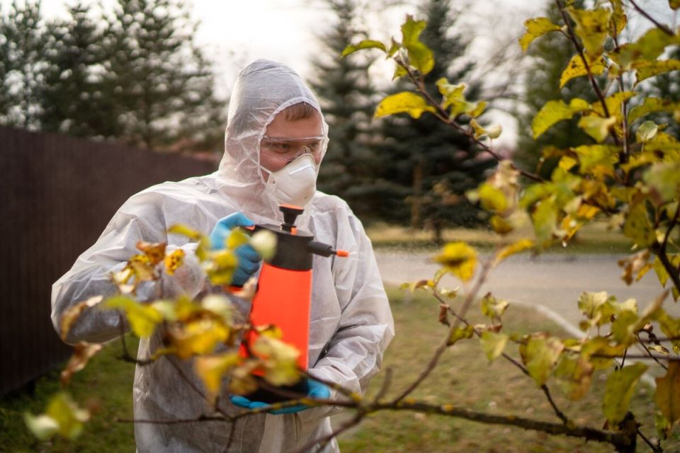 ������� ��������: ��� �������� �������� ������� �� �����