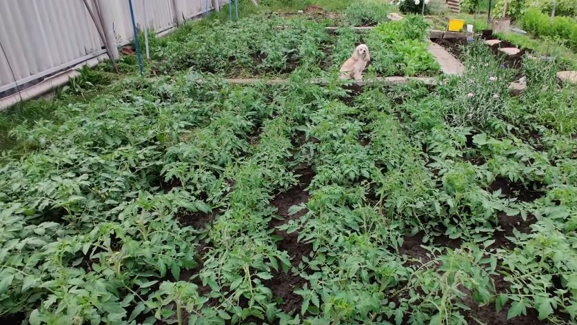 5 ������������ ������� �������� �������: ��������� ������ � �����