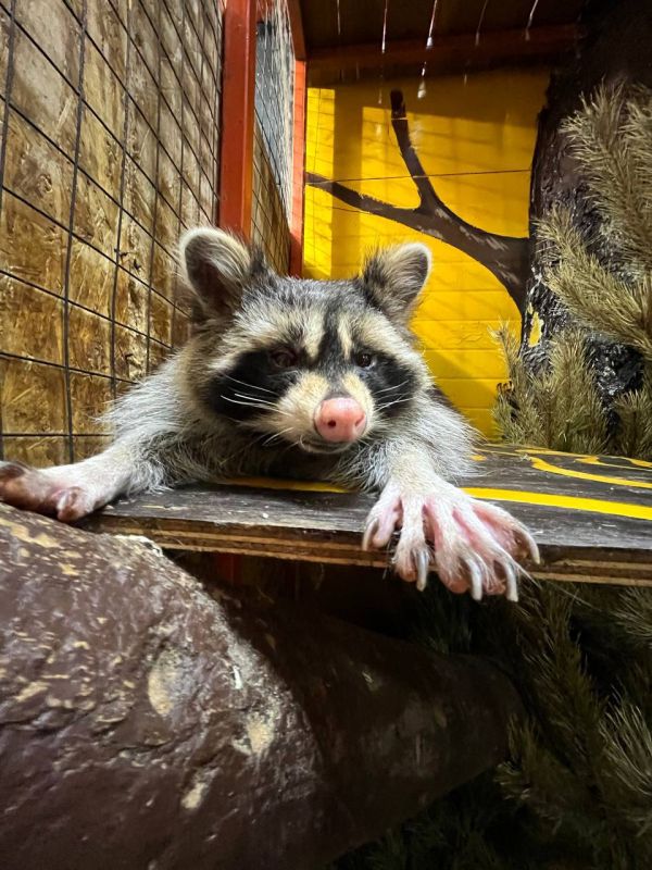 ���� �� ���� (��������, � �� ���� ����): �������� ��������, ��� ����� � ��������� ��������