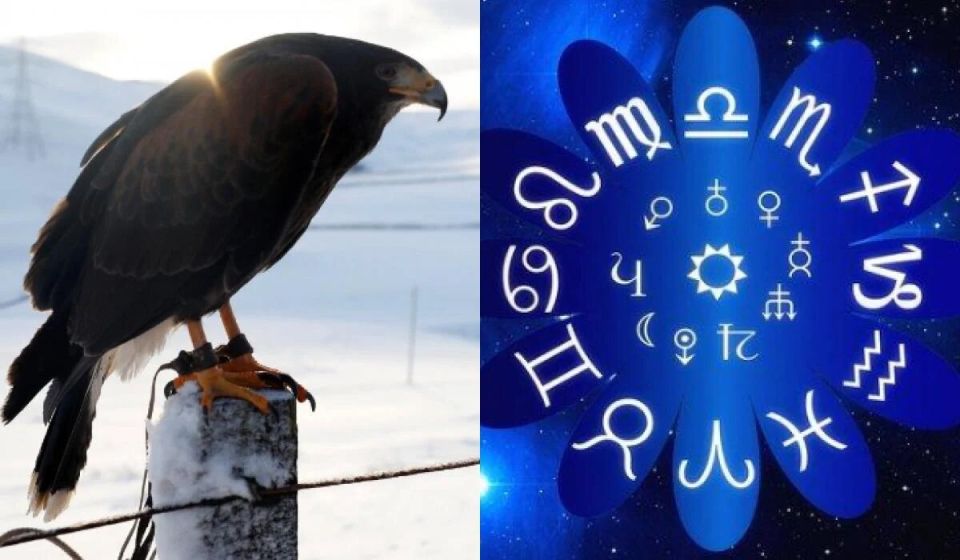 ��� ����� ����� �������� ����� ������ �������