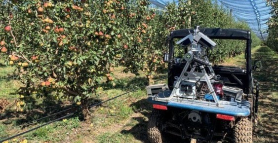 ������ � �������: ��� ������� ������ �������� �������������� ������ � ��������� �� ������