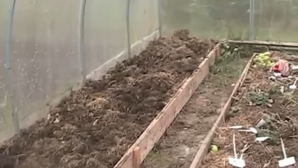 ��� �������� ������ �������: ������� ������ ������� � ��������������� �������