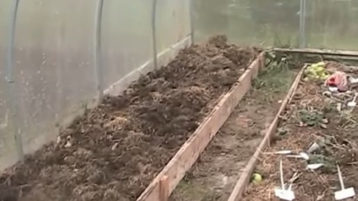 ��� �������� ������ �������: ������� ������ ������� � ��������������� �������