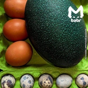 ��������, � ��� ��� ��������� ���� � ����� ���