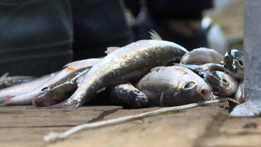 ������ 200 ��������� ��������� ������ ��������� ������� ���������� ������ � �������� ��������� ������ ���� �� �������, ��� ����� ����������� �����