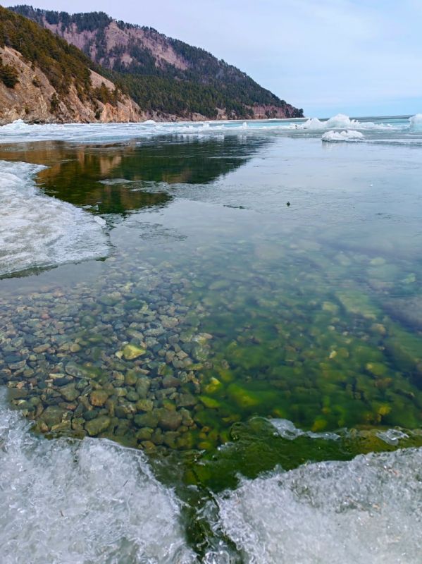 ����� �� �������. ����: ����� ���������