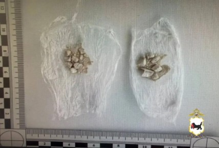 � ������� ����������� � �������� ��������� ������������, ����������������� �������