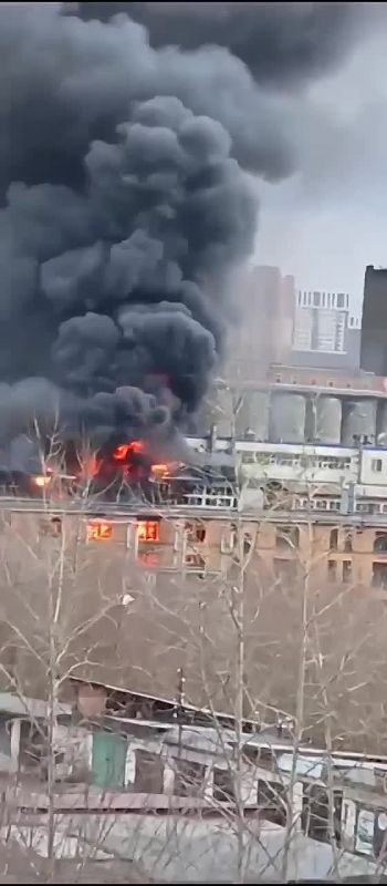 � �������� ����� ������ �����������������