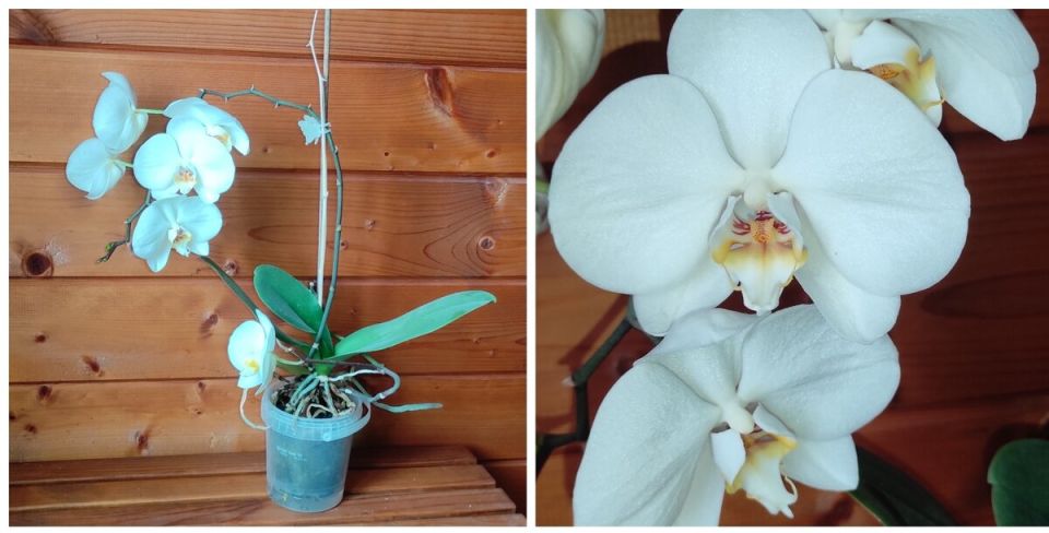 ��� ������� � ����� ��������� �������: ������� ����������