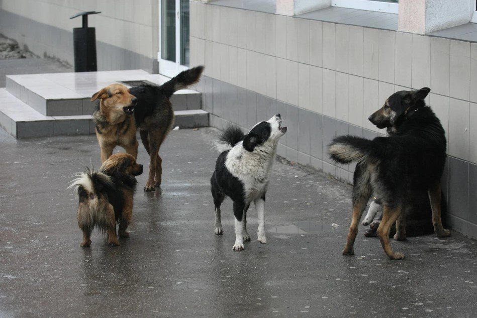 � ��������� ������� �������� �������� ����������� ��������� �����