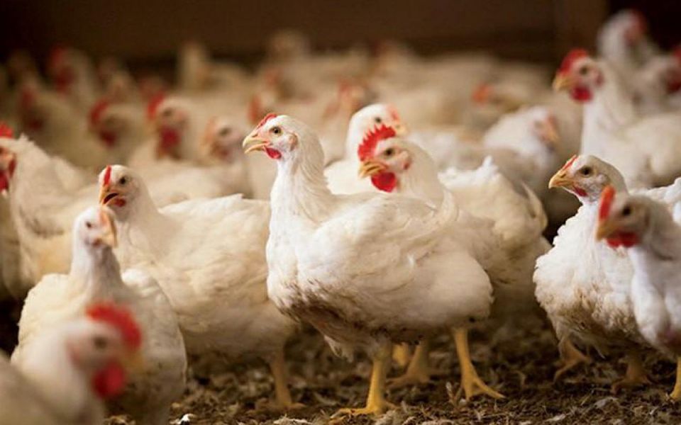 ���� � ��������: ������ ��������� �� �������� ������?