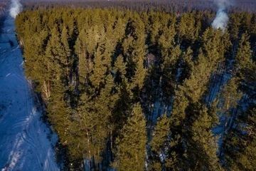 � ��������� ������� ���������� ������� ������������� �����