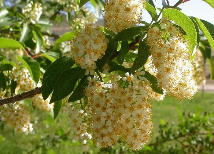 ��������: ��� ��������� �� ��������� ���������