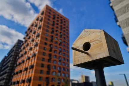 � ��������� ������� ��������� ������ �����-�����, ������� ����� ����� �������� �������� ��� �������