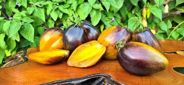 ����� ������� �����: ��������������� ���� � ���������� ���� ��� ������ �������