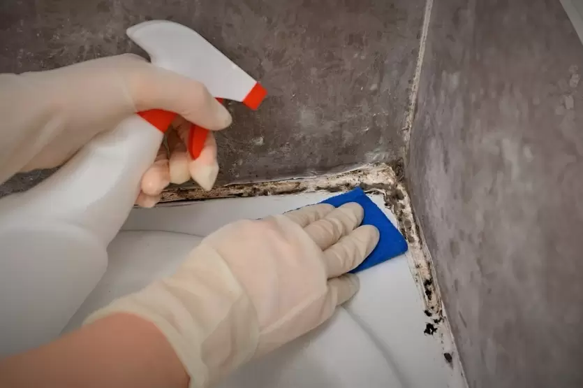 Как справиться с плесенью в ванной без химикатов